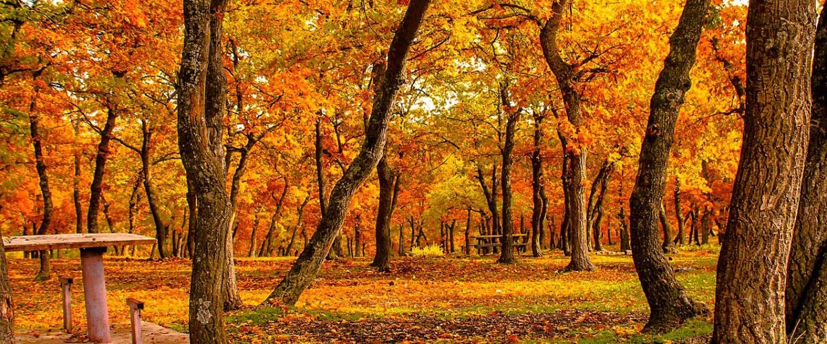 Kırşehirde Fotoğraf Tutkunları İçin İdeal Rota