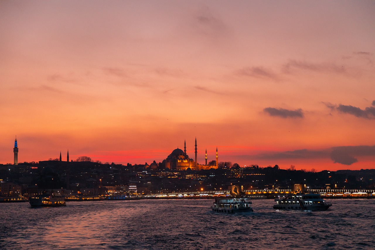 Alt Başlık 1