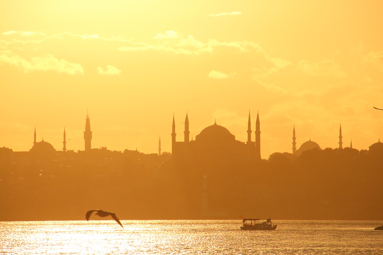Alt Başlık 3