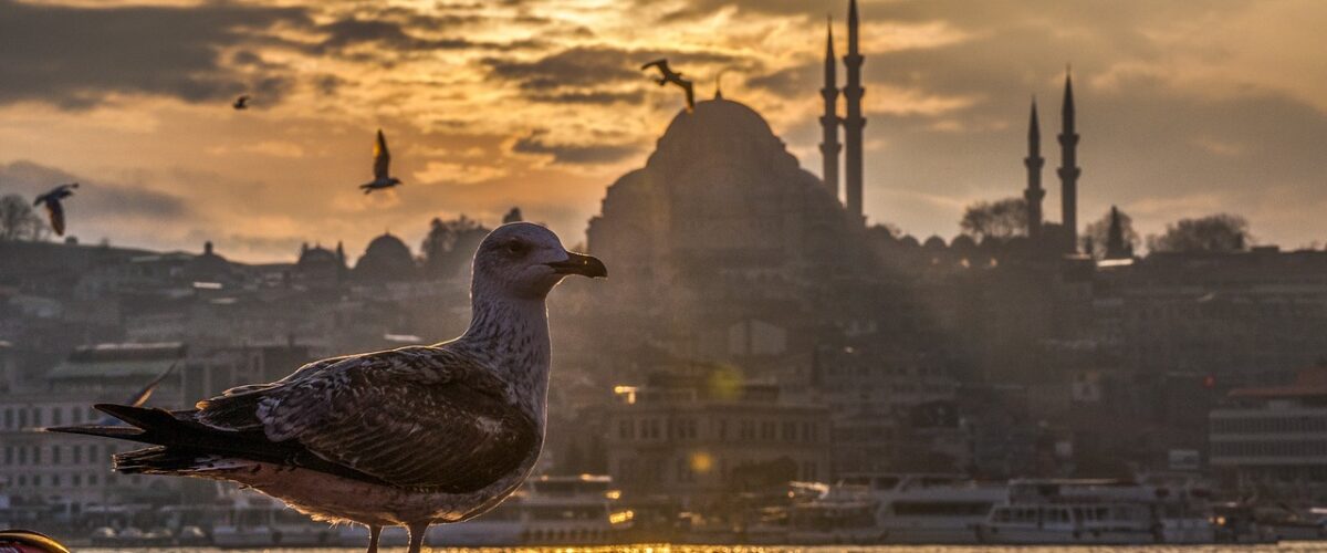 Bayatın Lezzetli Mekânları ve Tarihi Dokusu Gezginler İçin Rehber