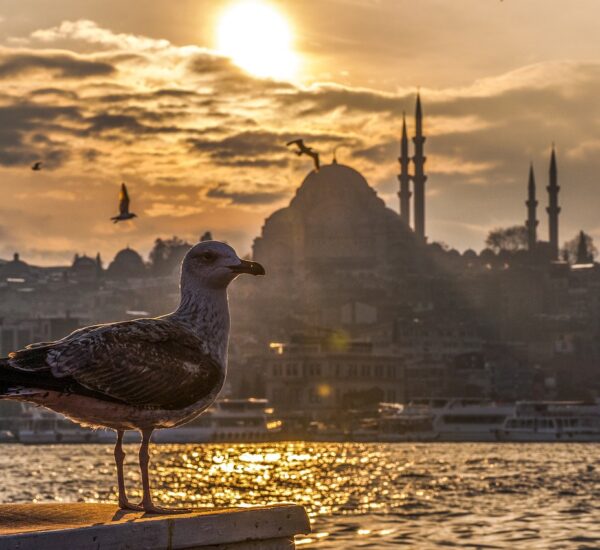 Bayatın Lezzetli Mekânları ve Tarihi Dokusu Gezginler İçin Rehber