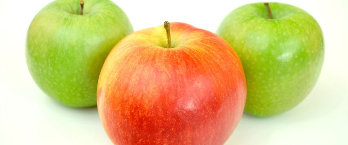 Çorumda Sağlıklı Beslenme Yerel ve Organik Ürünler