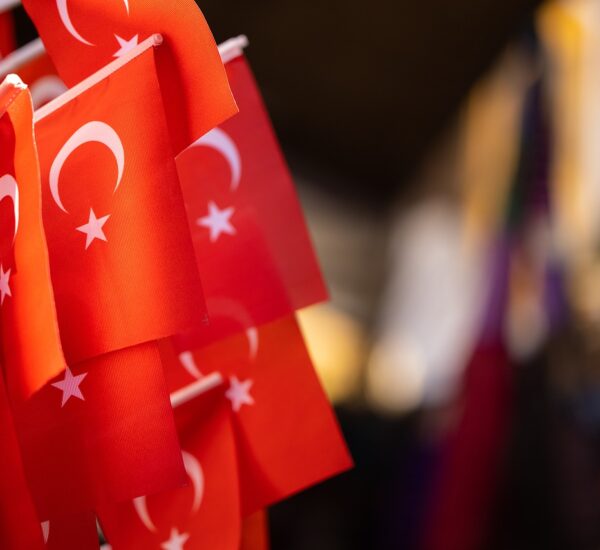 Lezzet Şöleni İncirliova Mutfağı