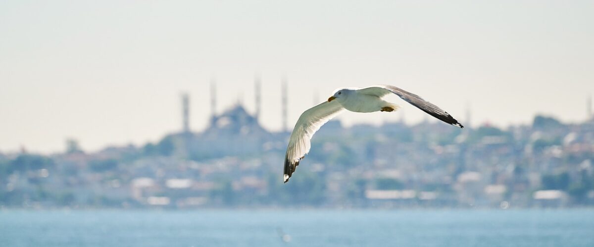Tarih ve Lezzet Buluşuyor Kuyucak Eski Camii ve Yöresel Mutfağı