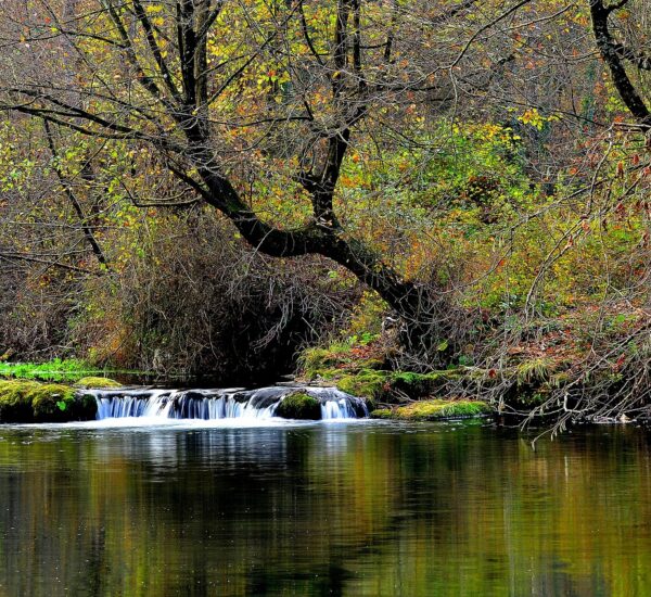 Yedisunun Sırlarla Dolu Lezzet ve Tarih Yolculuğu